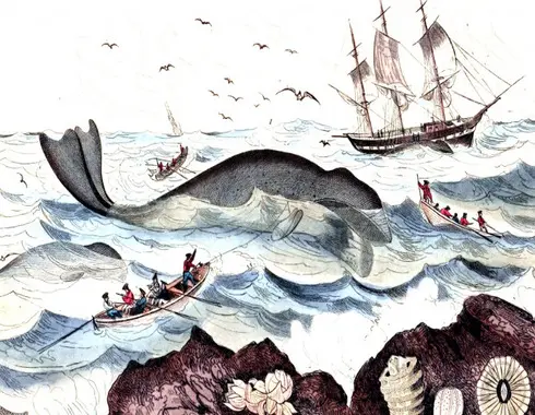 pesca de la ballena